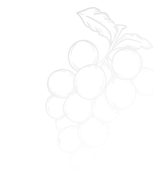 Chopen Co Location Tireuse A Biere Ancenis Saint Gereon Nos Prestations Bg 2